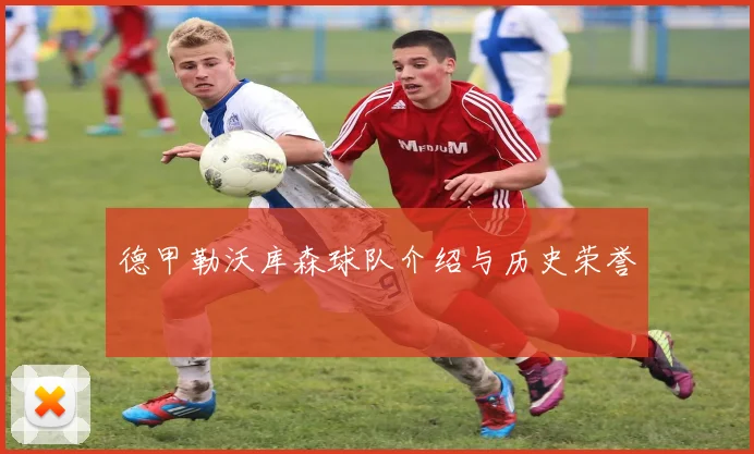 德甲勒沃库森球队介绍与历史荣誉