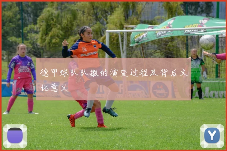 德甲球队队徽的演变过程及背后文化意义