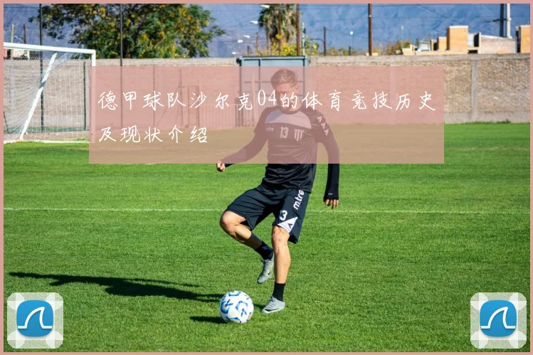 德甲球队沙尔克04的体育竞技历史及现状介绍